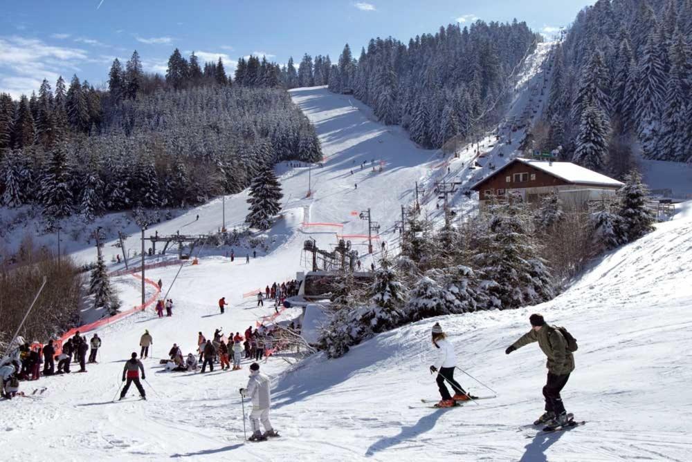 Les Camelias Chalet
